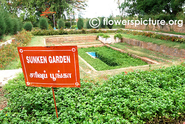 Sunken garden